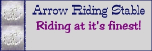 [Arrow Gif]